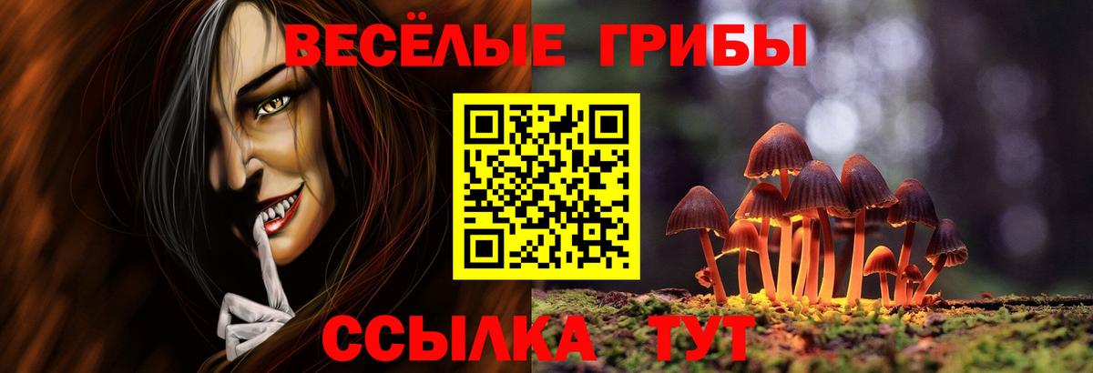 Бугульма  Галлюциногенные грибы Psilocybine cubensis  Вход с VPN 